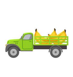 Food Delivery Truck Fruits Ripe Banana Harvesting