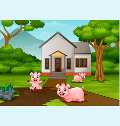 Funny Pigs Playing A Mud Puddle In Front House