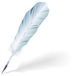 Goose Feather