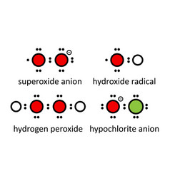 Reactive Oxygen Species Ros Superoxide Anion