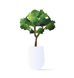 A Small Tree In Pot Houseplant Isolated