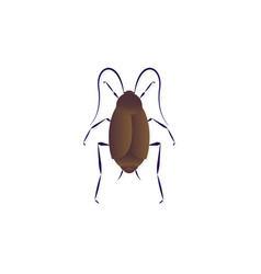 Oriental Cockroach Art Isolated On White