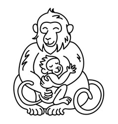 Monkey And Her Son Stroke