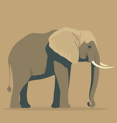 Animal Mammal African Elephant Adult