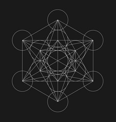 Metatrons cube flower of life sacred geometric Vector Image