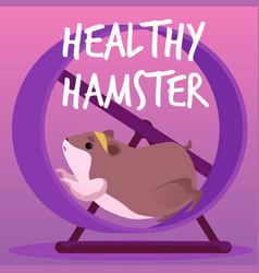 Cute Hamster In A Wheel