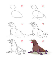 How To Draw A Cute Sea Lion Educational Page