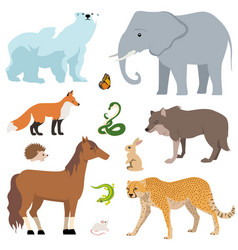 Collection Of Different Big And Small Animals