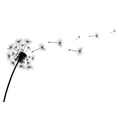 Silhouette Of A Simple Single Dandelion