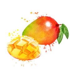 Watercolor Mango