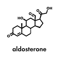 Aldosterone Mineralocorticoid Hormone Produced