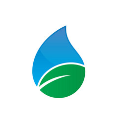 Water drop nature leaf logo design template Vector Image