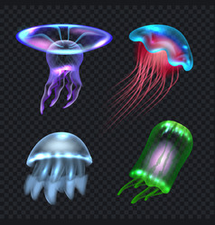 Jellyfish Colored Underwater Realistic