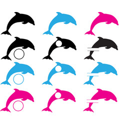 Swimming Dolphins On White Background Dolphin