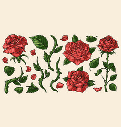 Flower Rose Set Stickers Colorful