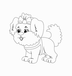 Pet Shih Tzu Breed Page Outline Of Cartoon