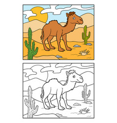 Coloring Book One-humped Camel On A Desert