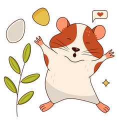 A Cute Orange And White Hamster Stretches