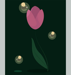 Pink Tulip On A Long Slender Stem And Fireflies