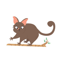 A Cute Australian Possum Animal Character Design