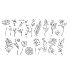 Set Of Tiny Wild Flowers Plants Line Art