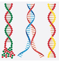 Broken Dna Chains