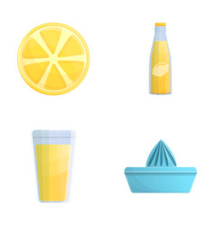 Lemonade Making Icons Set Cartoon Fresh