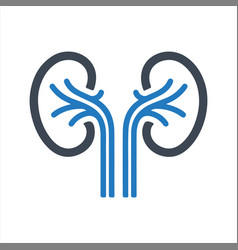 Nephrology Icon