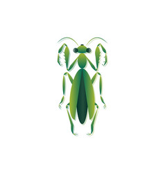 Praying Mantis Art Green Grasshopper Clipart