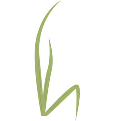 Grass Plant Icon