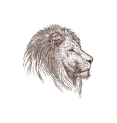 Lion Head