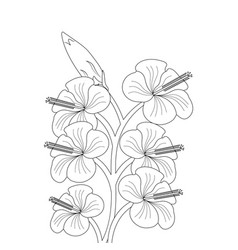 Hibiscus Flower Line Art Drawing Black Stroke