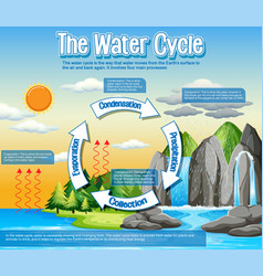 Water Cycle Diagram For Science Education