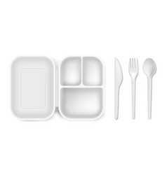 Disposable Plastic Of Lunch Box And Cutlery Spoon