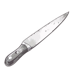 Sharp Steel Blade Kitchen Knife