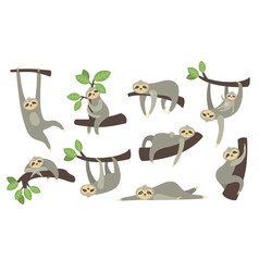 Cute Sleepy Sloth On Branch Flat Icon Set