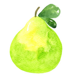 Pomelo Watercolor