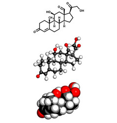 Aldosterone Mineralocorticoid Hormone Molecular