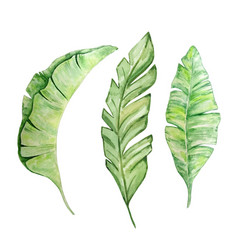 Watercolor Bright Green Tropical Leaves For