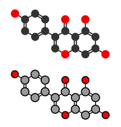 Genistein Isoflavone Molecule