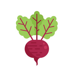 Farm Beet Icon Flat Eco Agriculture