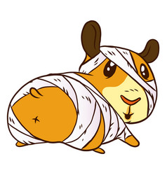 Mummy Guinea Pig Cartoon