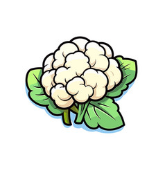 Cauliflower Hand-drawn Doodle Style