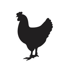 Chicken Silhouette