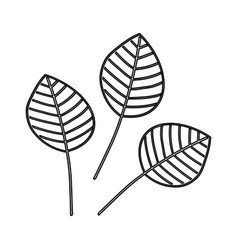 Delicate Line Drawing Of Three Leaf Shapes