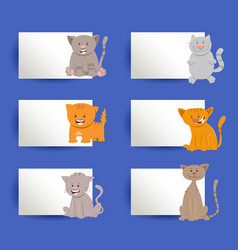 Cards Design Set With Cartoon Cats Or Kittens