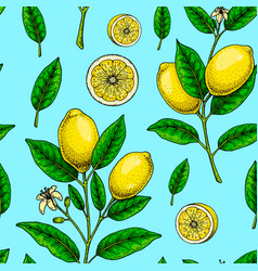 Lemon Seamless Pattern Colorful Hand Drawn