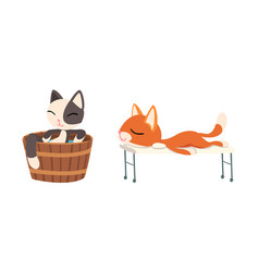 Cute Cat Character Taking Hot Bath In Wooden