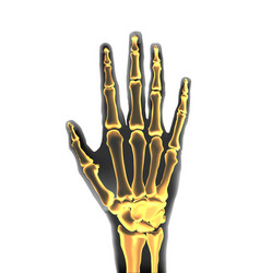 Realistic Black And Yellow Transparente Human Hand