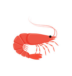 Shrimp Cartoon Character Flat Design Of Sea Food